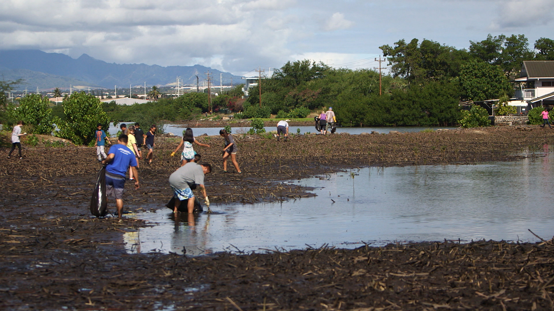 This is an image of a fishpond habitat restoration.